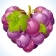   Grape